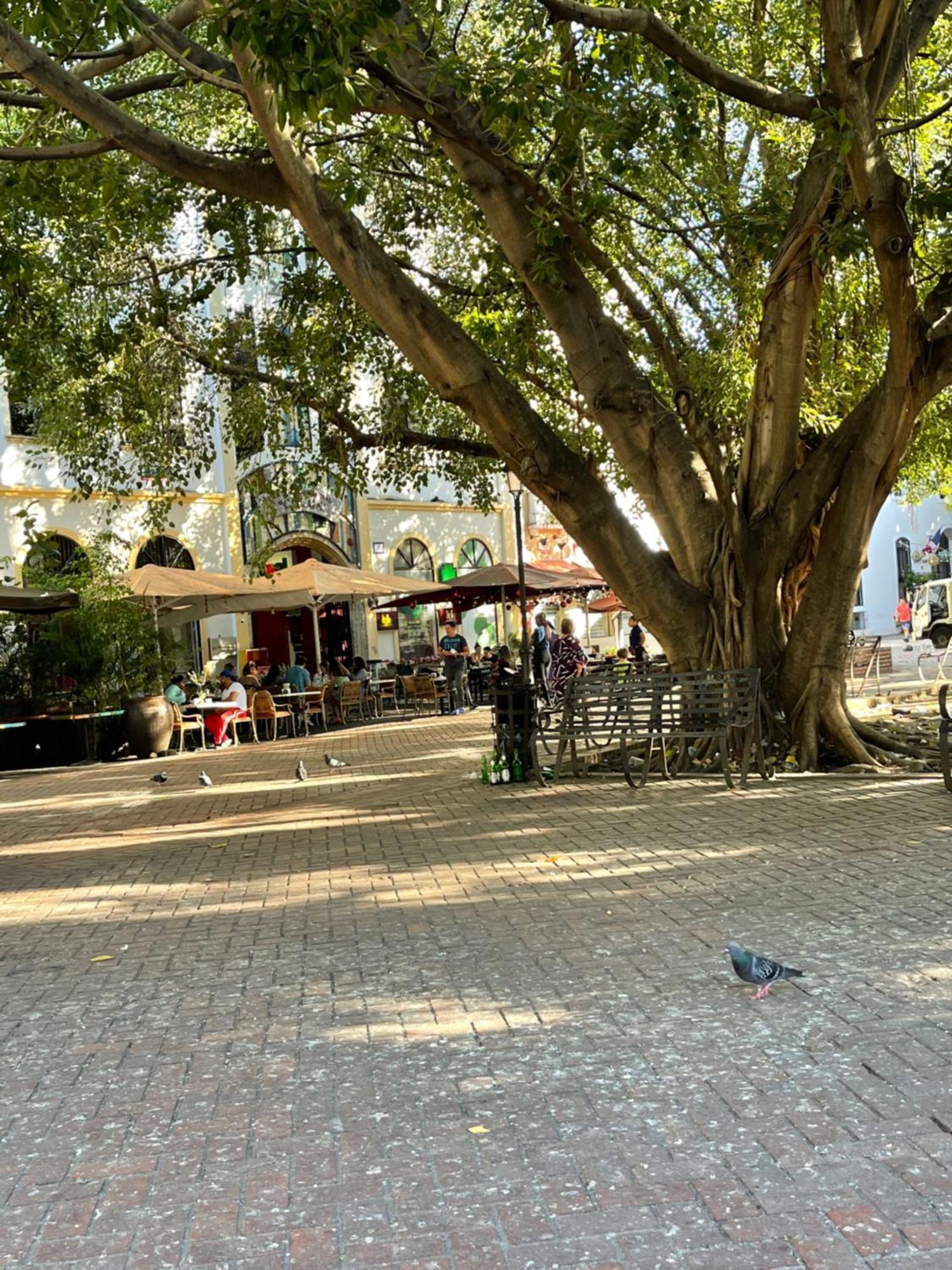 Studio 27 Colonial, Centro Historico Saint-Domingue Extérieur photo